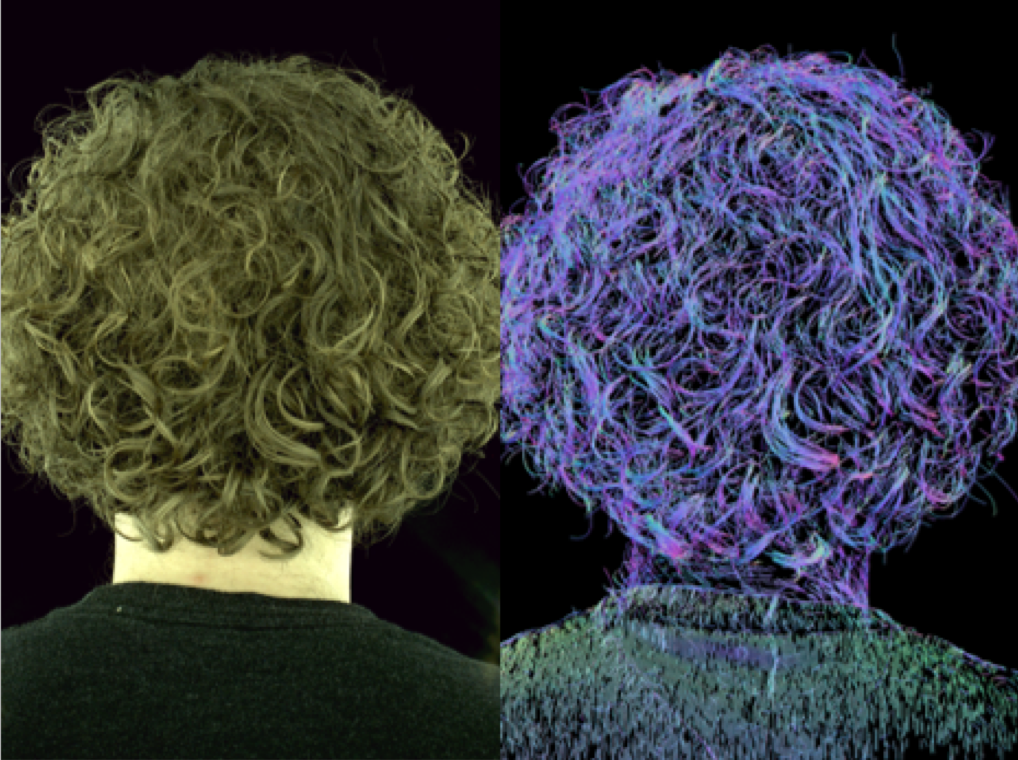 Strand-accurate Hair Capture