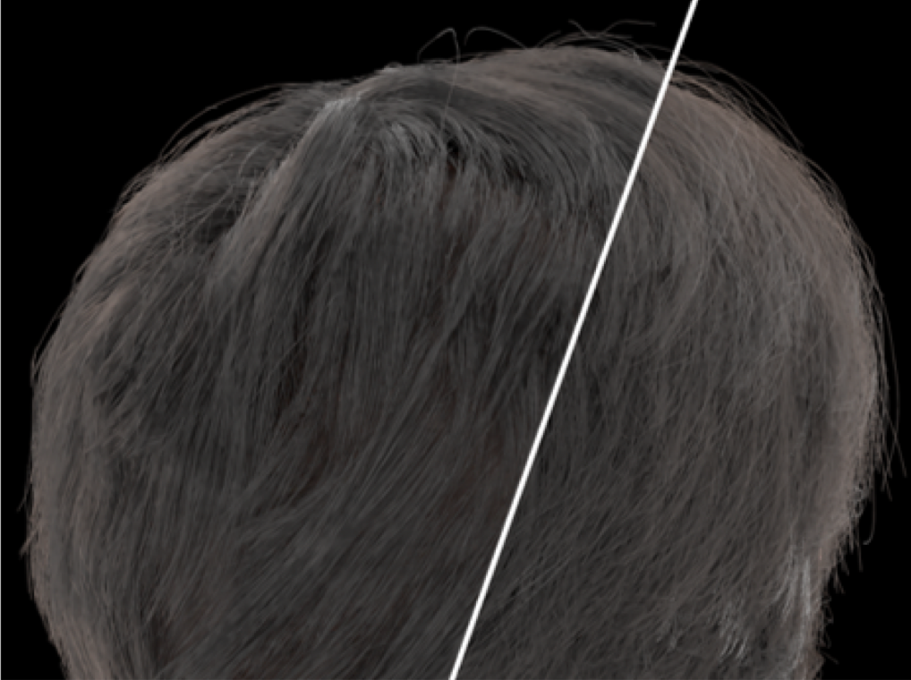 Hair Inverse Rendering