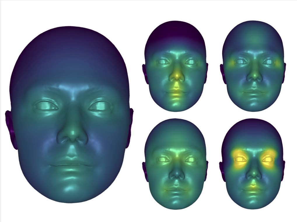 FaceMap