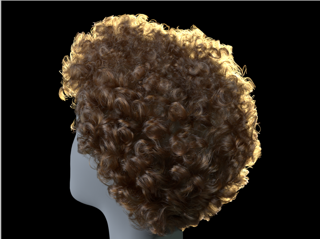 CT2Hair